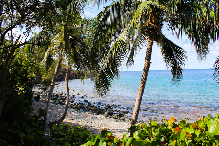 Vida de Mar villa St. John, USVI