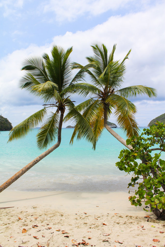 Maho Bay beach St. John, USVI