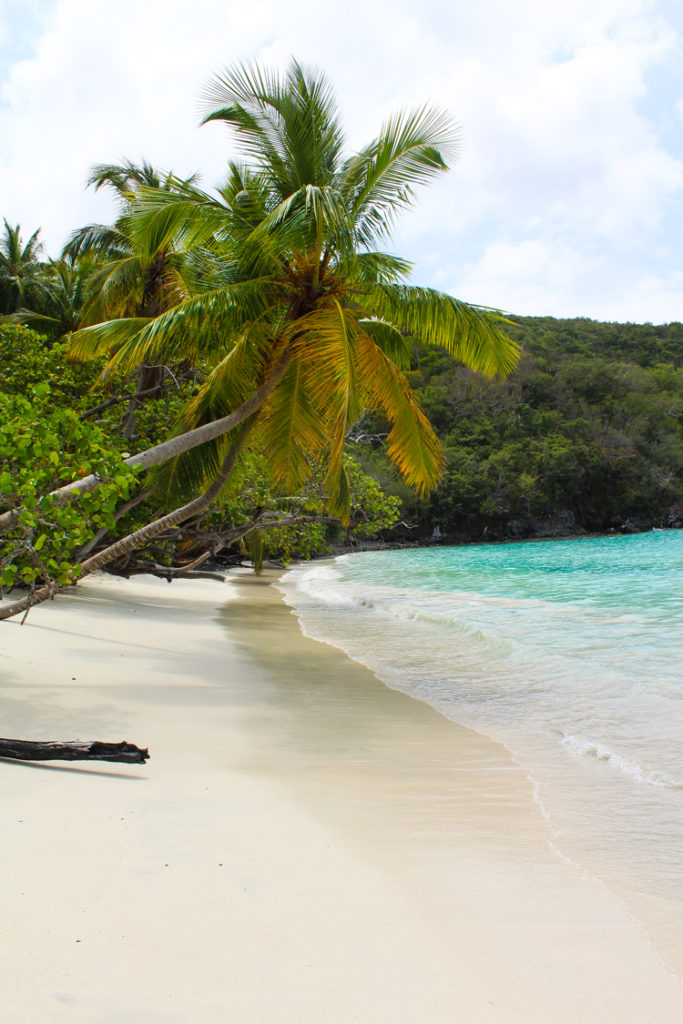 Maho Bay Beach, St. John USVI