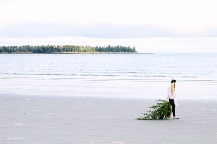 Crescent beach in Owls Head Maine