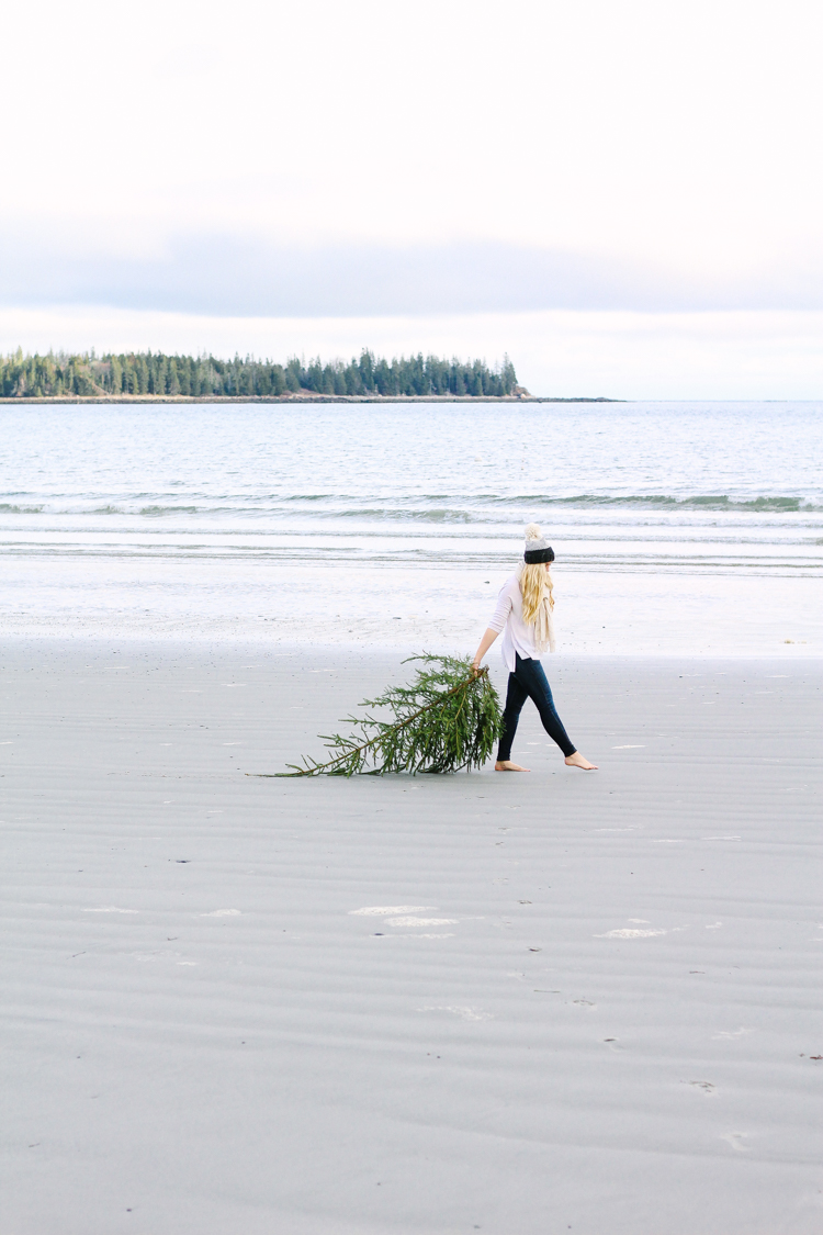 Crescent Beach in Owls Head, Maine during the holidays