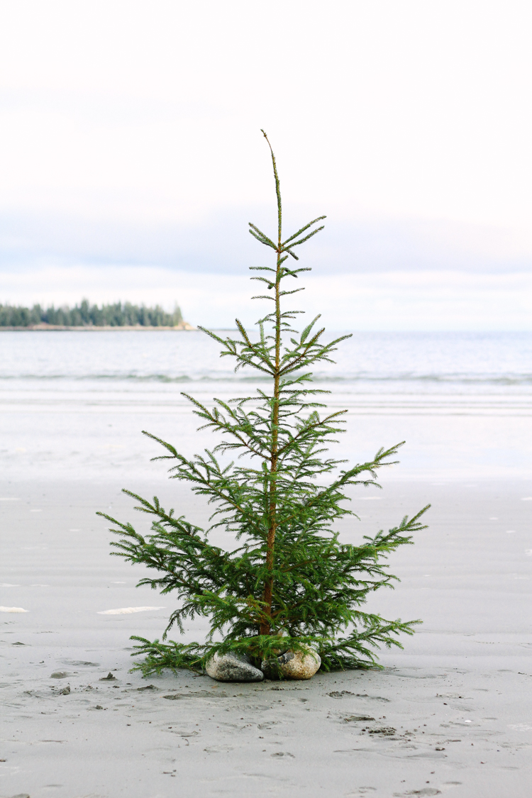 Crescent Beach Owls Head Maine at Christmas