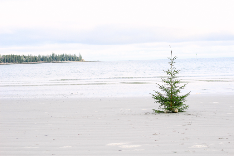 Crescent Beach, Owls Head, Maine