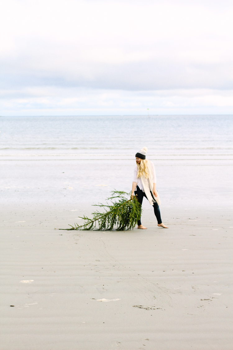 Christmas tree hunting in Maine