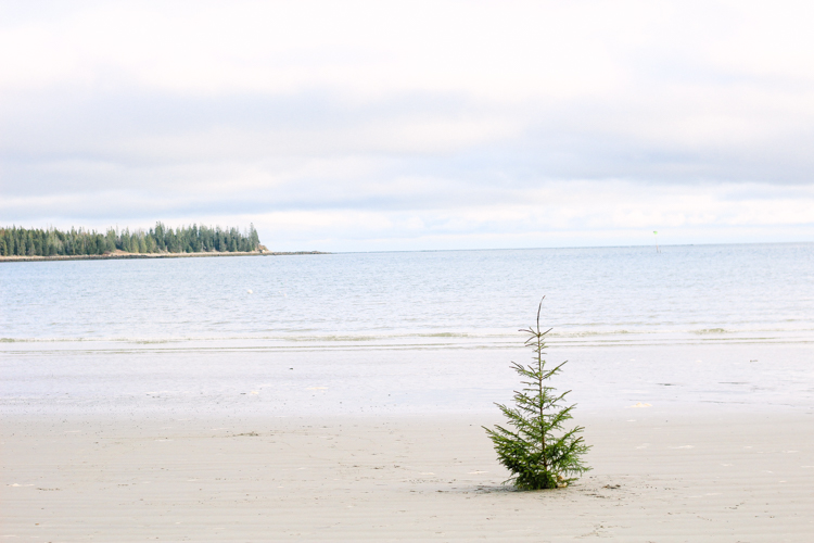 Christmas in Owls Head, Maine