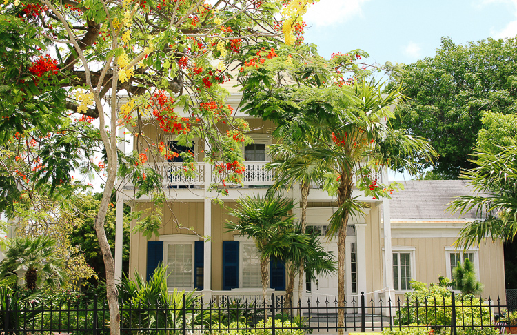 Key West houses | The Ultimate Key West, Florida Food and Travel Guide | key west travel guide | key west florida | key west travel diary | what to do in key west | where to eat in Key West | what to see in key west | everything you should do in key west | 