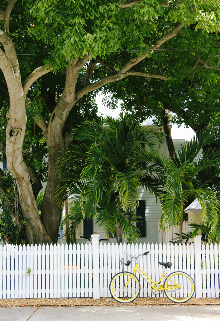 The Ultimate Key West, Florida Food and Travel Guide | key west travel guide | key west florida | key west travel diary | what to do in key west | where to eat in Key West | what to see in key west | everything you should do in key west | biking in key west |