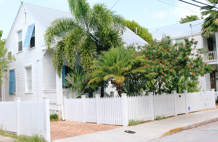 Key West houses | The Ultimate Key West, Florida Food and Travel Guide | key west travel guide | key west florida | key west travel diary | what to do in key west | where to eat in Key West | what to see in key west | everything you should do in key west | pastels in key west |