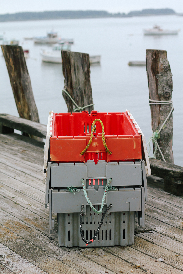 maine lobster, spruce head maine, midcoast maine, 