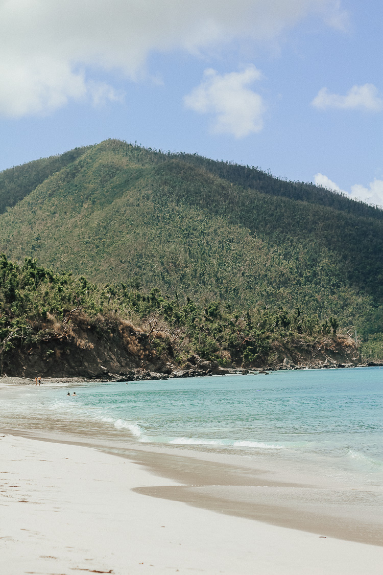 beaches of st. john usvi | what beaches to visit on st. john | best beaches caribbean | best beaches in the virgin islands | cinnamon bay beach st. john usvi | best beaches USVI |