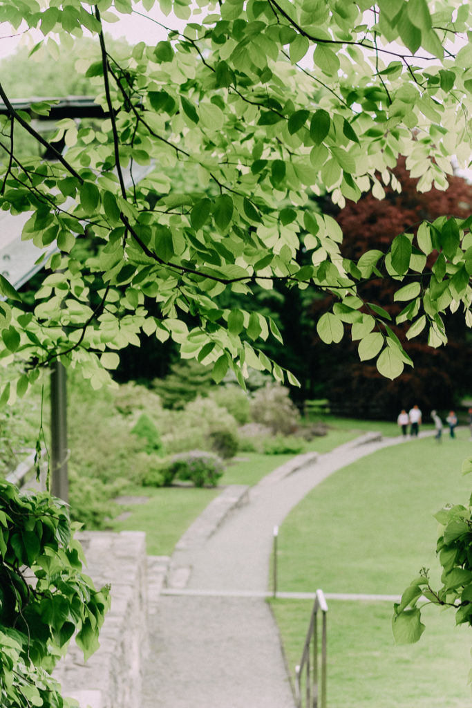 Arnold Arboretum | free boston date idea | boston date idea | what to do in Boston | outside in Boston | parks in Boston | what to do in Boston MA | Arnold Arboretum in Boston MA | Leventritt Garden | Leventritt Garden and Pavilion Boston MA