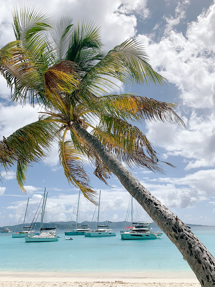 St. John USVI Travel Guide 2019 | St. John USVI restaurants | St. John USVI best beaches | Where to stay on St John USVI | the best travel guide for St. John USVI | St. John USVI after the hurricanes | visiting St. John USVI March 2019 | Soggy Dollar Bar | BVIs | What to do in the BVIs | Jost Van Dyke | Soggy Dollar Bar review |