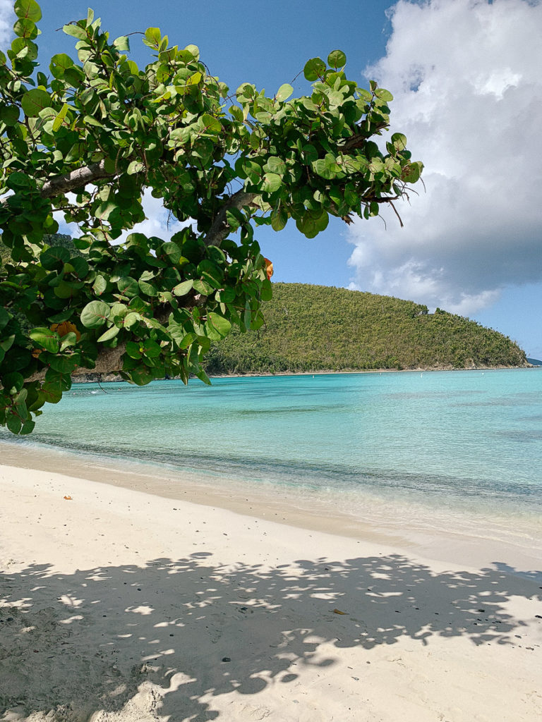 St. John, USVI Travel Guide 2019 - Mackenzie Fritz